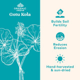 Gotu Kola leaves graphic, soil fertility erosion hand-harvested sun-dried
