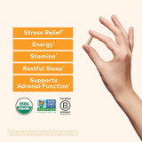 Hand holding a capsule beside Ashwagandha benefit list with USDA Organic and B Corp logos