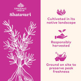 Shatavari plant graphic, native landscape responsibly harvested ground on site