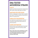 Reishi box panel describing DNA-tested mushroom strains and formulated for absorption