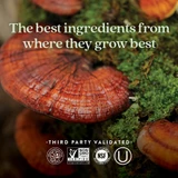 Reishi mushrooms on moss, the best ingredients from where they grow best, third party validated logos