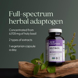 Holy Basil Force bottle with basil sprig, full-spectrum adaptogen one capsule