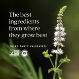 Flowering herb, the best ingredients from where they grow best, third party validated graphic