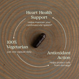 Single capsule on wood, 100% vegetarian, just one capsule daily graphic
