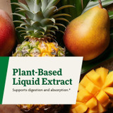 Tropical fruit, plant-based liquid extract supports digestion and absorption graphic