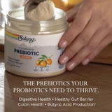 Hand scooping prebiotic powder, prebiotics your probiotics need to thrive graphic