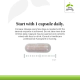 CalmKIDS capsule size guide, start with 1 daily open and mix with food graphic