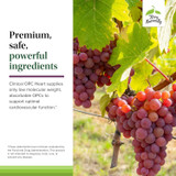 Red grapes on vine, Clinical OPC low molecular weight absorbable OPCs heart graphic