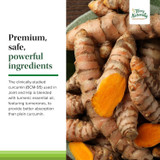 Turmeric root, clinically studied BCM-95 curcumin for dogs absorption graphic