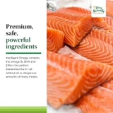 Salmon fillets, Intelligent Omega premium bioidentical DHA EPA no heavy metals graphic