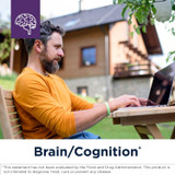 Man at laptop thinking, Designs for Health Neurolink brain cognition graphic