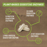 Plant-based digestive enzymes graphic: protein, carb, fat and free radical enzymes
