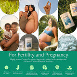 Collage of pregnant women and mothers, for fertility and pregnancy graphic