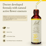 Bach Gorse - 20 Milliliters