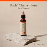 Bach Cherry Plum 0.7 fl oz (20 mL) bottle on a stone