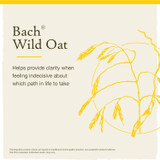 Bach Wild Oat clarity when indecisive about which life path to take graphic