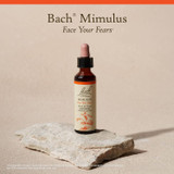 Mimulus bottle on a stone, Face Your Fears label