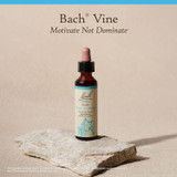 Bach Vine 20 mL (0.7 fl oz) bottle on a stone