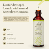 Bach Olive - 20 Milliliters