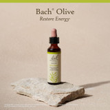 Bach Olive bottle on stone Restore Energy lifestyle product shot