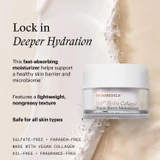 SkinMedica HA5 Hydra Collagen Water Burst Moisturizer