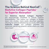 The Science Behind NeoCell BioActive Collagen Peptides superior absorption graphic