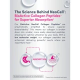 The Science Behind NeoCell BioActive Collagen Peptides superior absorption graphic