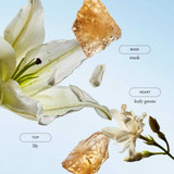 pure grace scent notes lily leafy greens and musk graphic
