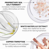 Sea salt ferment, white water lily extract and copper tripeptide ingredient callouts
