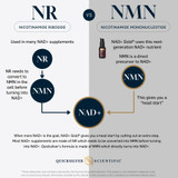 NR vs NMN comparison graphic showing NMN as a direct precursor to NAD+