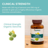 Organic Garcinia clinical strength beside whole garcinia fruits graphic