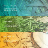 Eucalyptus, rosemary and coconut oil ingredient panels for warming body balm