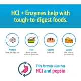 HCl plus Enzymes protein fats gluten casein stomach icons graphic