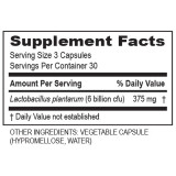 Transformation Enzymes Plantadophilus supplement facts panel