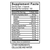 Transformation Enzymes ReleaseZyme supplement facts panel