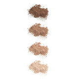 Colorescience Brush-On Shield loose mineral powder swatches in four shades