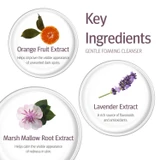 epionce Gentle Foaming Cleanser key ingredients infographic with lavender