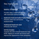 PCA Skin Hyaluronic Acid Boosting Serum key ingredients infographic