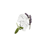 Clear gel dollop with lavender and sage sprigs