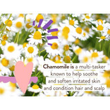 Chamomile flowers with chamomile ingredient text
