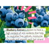 Blueberries with ingredient note