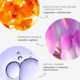 Phyto-Nature Oxygen Cream botanicals: ligustrum, adaptogenic astragalus, luffa root, squalane