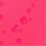 Water droplets on a pink background