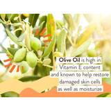Green olives on a branch, olive oil rich in vitamin E graphic