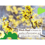 Witch hazel flowers on a branch with witch hazel ingredient text