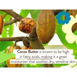 Cocoa pods on a tree with cocoa butter ingredient text