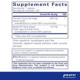 Curcumin 500 supplement facts, 120 servings