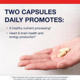 Hand holding two capsules with two capsules daily text