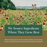 Flower field, we source ingredients where they grow best graphic