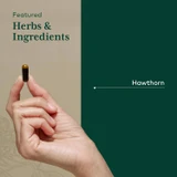 Hand holding a liquid phyto-cap, featured herbs and ingredients Hawthorn graphic